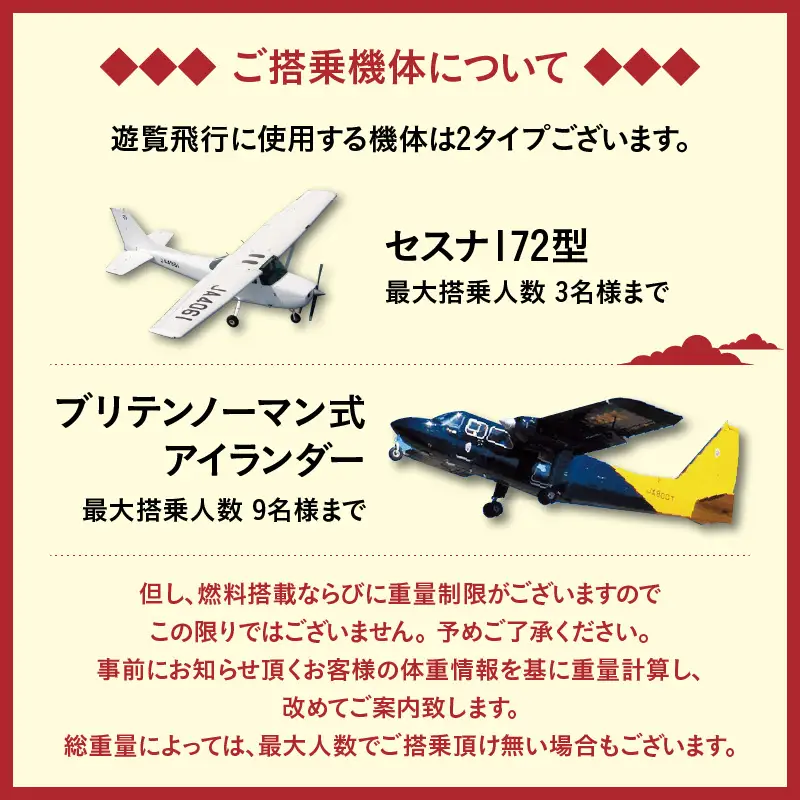 【 夜間 遊覧飛行 】鹿児島市内 ナイト コース ブリテンノーマン式 BN2B型（大人9名まで） K222-FT010