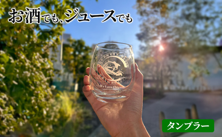 グラスセット サザンC タンブラー ビールグラス グラスセット【選べる2個】 A(ｻｰﾌｨﾝ×ｻｰﾌｨﾝ)
