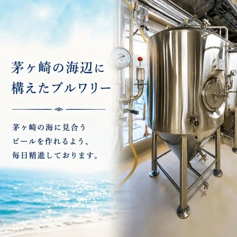 クラフトビール 茅ヶ崎ビール Dragon Ale 瓶入り クラフトビール【8本セット】