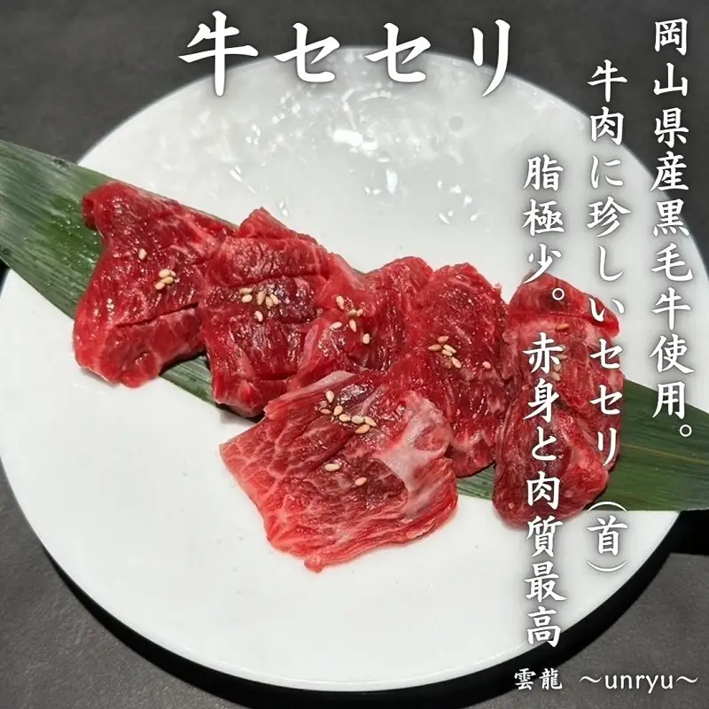 黒毛和牛 焼肉 セット 合計約930g カルビ ハラミ 牛セセリ 雲龍焼肉たれ付 岡山県産 黒毛和牛