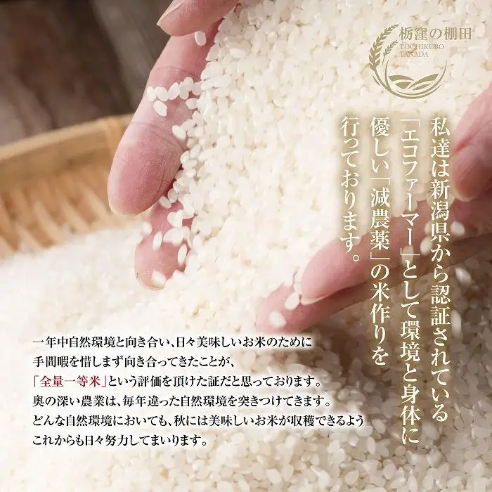 【令和8年産 新米】【栃窪の棚田米限定】南魚沼 しおざわ 栃窪産 コシヒカリ 5kg 日熊の米 農家のこだわり 棚田 こしひかり 農家直送 減農薬 新潟県認証 エコファーマー ベストファーマー 新潟県 南魚沼市  特A お米 こめ 白米 コメ 食品 人気 おすすめ 送料無料