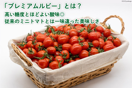 AH114 宝石のように輝くトマト プレミアムルビー3kg 