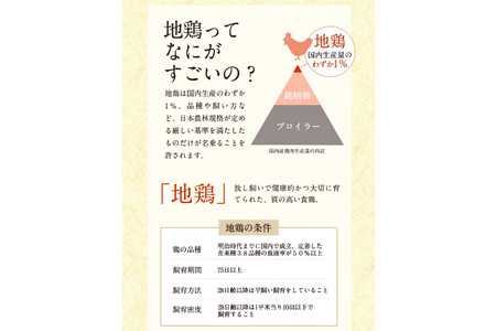 はかた地どり 美人水炊きセット 鶏肉2種 スープ 麺 コラーゲン 計5種 2～3人前