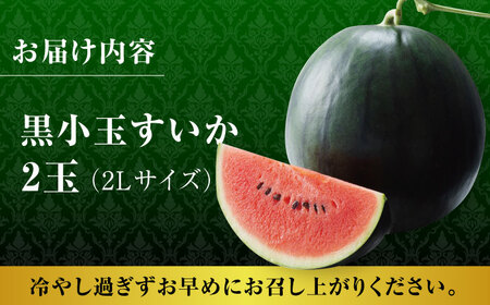 【先行予約】熊本スイカ 黒小玉スイカ2玉2Lサイズ西瓜すいかZCM009
