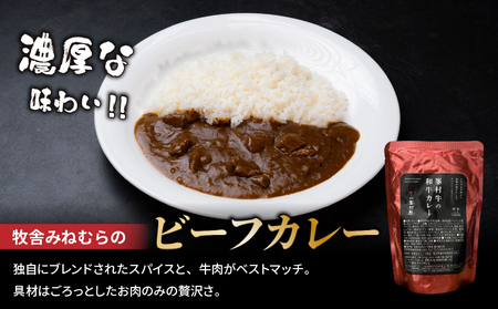 【信州プレミアム牛】ビーフジャーキー、ビーフフランク、ビーフカレーセット｜牧舎みねむら