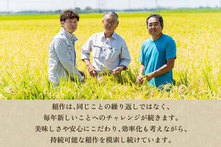 【令和8年産新米先行予約】【定期便3ヶ月毎月お届け】新潟県産 新之助 精米5kg（5kg×1袋）《10月上旬から順次出荷》
