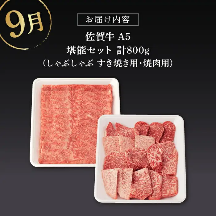 【定期便】 牛肉 佐賀牛 夏の定期便 NAB104 牛肉