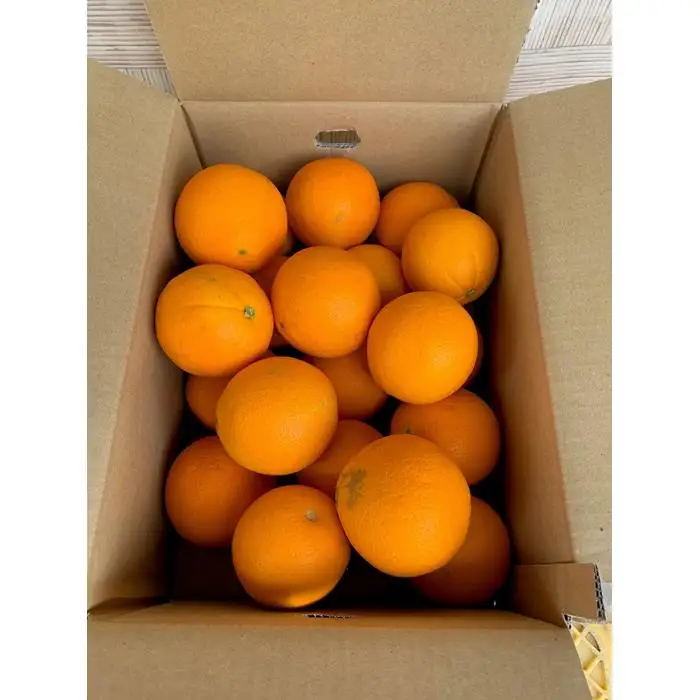 完熟ネーブルオレンジ 赤秀品 5kg（М・L・2L/サイズ指定不可）