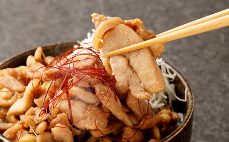 【3ヶ月定期便】 九州産鶏 タレ漬け 合計3kg 500g×6袋×3回