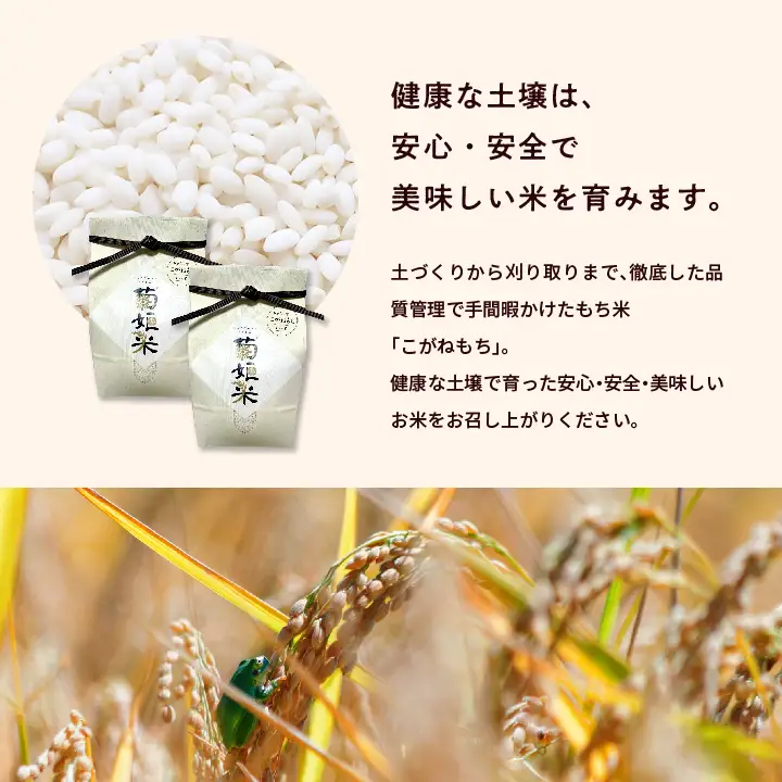 米 もち米1kg×2袋（ 高級ブランドもち米こがねもち使用）【ADATARAふぁーむ】