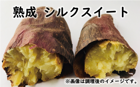 訳あり 熟成 さつまいも 食べ比べ 3種 セット 紅はるか 安納芋 シルクスイート 合計 15kg サイズ混合 サツマイモ 焼き芋 干し芋 丸干し 冷凍焼き芋 冷やし焼き芋 やきいも 蜜芋 ほしいも スイートポテト いも天 サイズミックス 甘い ねっとり 生芋 新芋 あんのういも 甘藷 べにはるか スイーツ 国産 糖度 産地直送 農家直送 数量限定 21000円 愛媛 愛南 ミッチーのおみかん畑