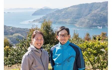 【2027年5月発送予定】いのうえ農園のなつみ3kg ※着日指定不可 ※離島への配送不可【えひめの町（超）推し！（伊方町）】(284-1)