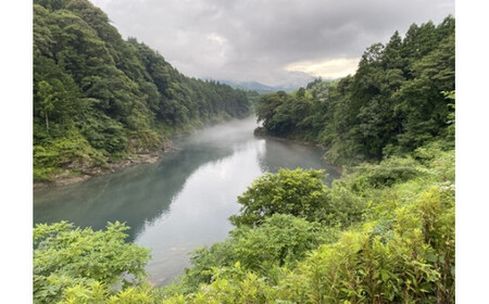（冷蔵）　鮎　約1kg／大森水産　あゆ　お取り寄せグルメ　川魚　和食　三重県　大台町