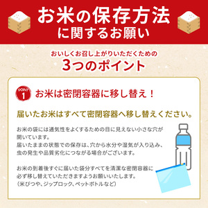お米 ミルキークイーン 10kg 令和6年産 近江米 お米