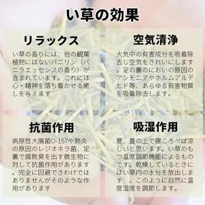国産い草ラグ DX麻の葉 ネイビー 133×133
