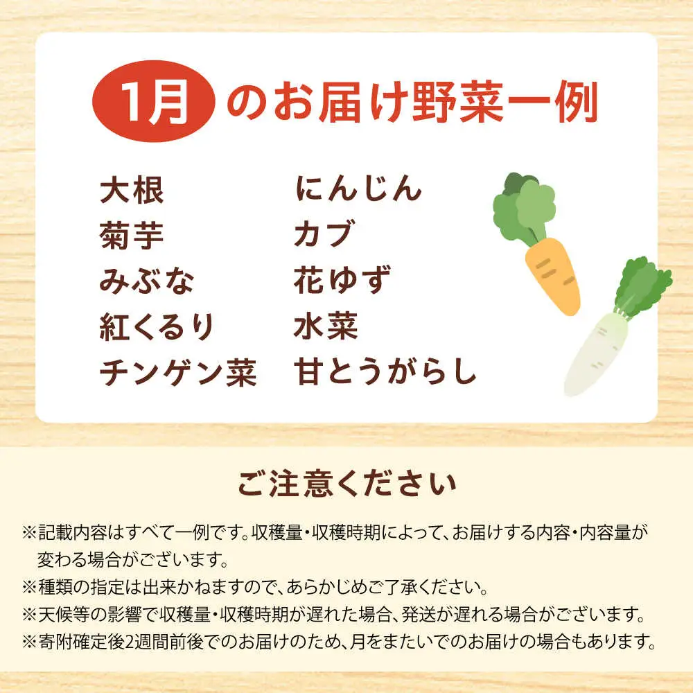 高槻野菜詰め合わせ 1月（10〜15種）＆農家さん自家製ゆず果汁[AOCS003] 野菜
