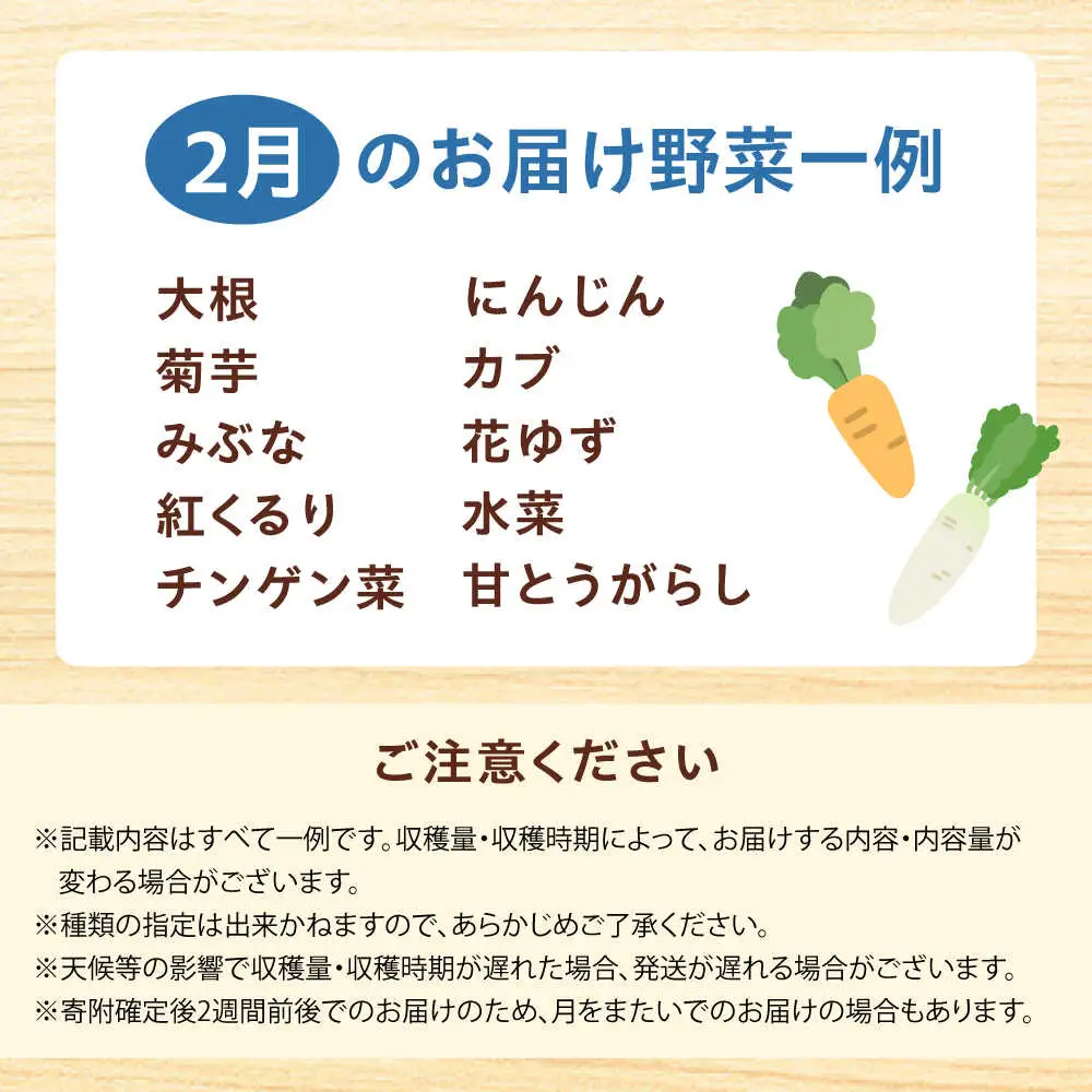 高槻野菜詰め合わせ 2月（10〜15種）＆農家さん自家製ゆず果汁[AOCS004] 野菜