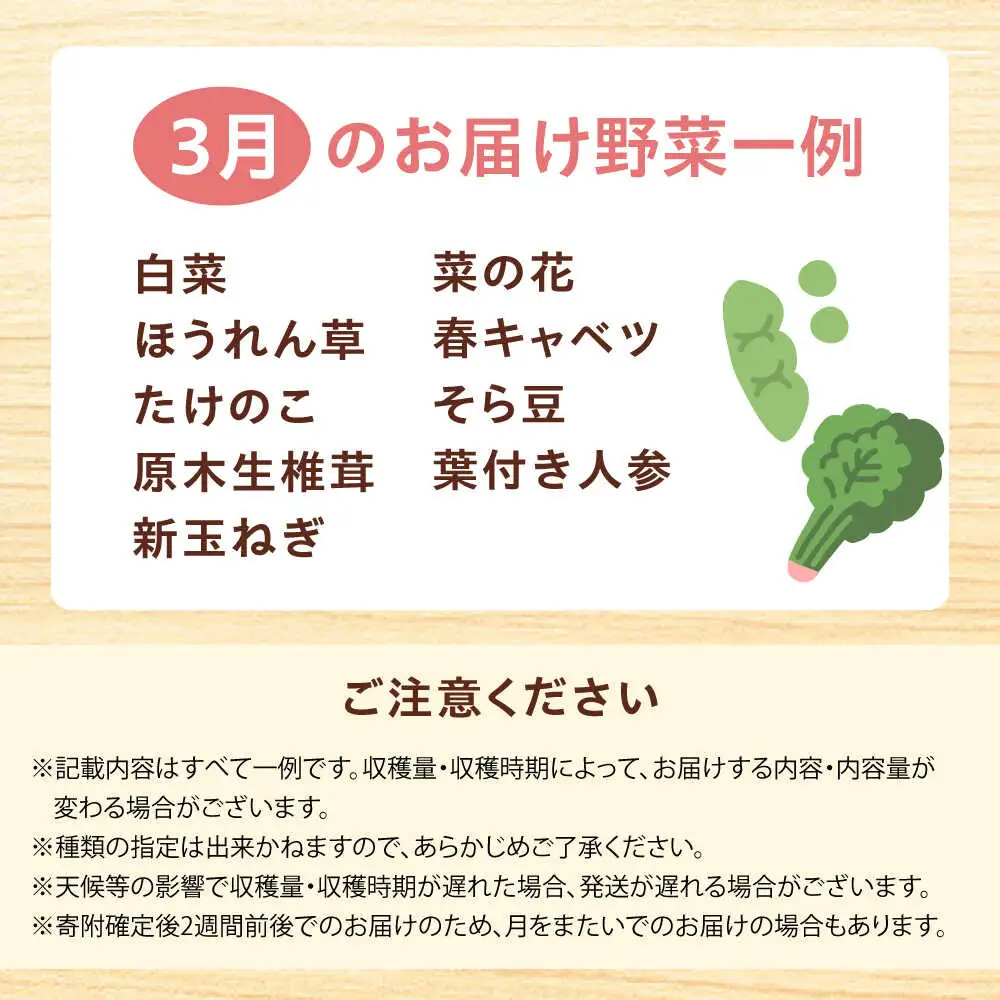 高槻野菜詰め合わせ 3月（10〜15種）＆農家さん自家製ゆず果汁[AOCS005] 野菜