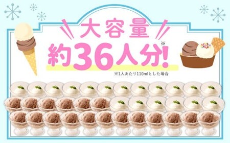 ＜ R8年熊本地震復興支援 ＞ 2Lアイス セット (バニラ・チョコ) 合計4L アイス 自家製 業務用 大容量 【2025年6月下旬順次発送開始】