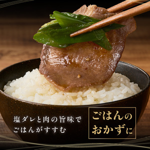 【大盛九条ネギ】塩ダレ牛タン750g 薄切り牛タン 京都府 木津川市 093-05
