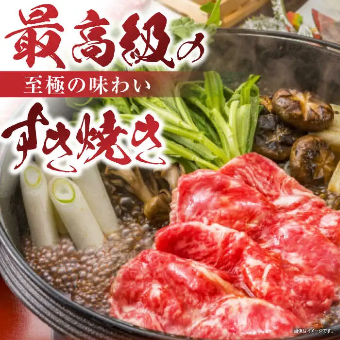 長崎和牛 切り落とし 300g×2パック /長崎県産 長崎和牛 牛肉 和牛 牛 切り落とし / 諫早市 / 有限会社長崎フードサービス [AHDD001]