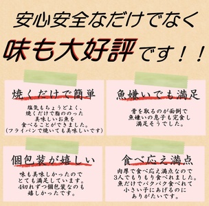 【全12回定期便】骨無し 無添加 塩さば 切身 約1.25kg（250g×5パック 20枚）【tkb323A】