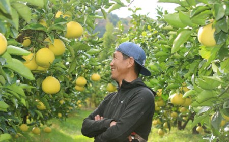 成田果樹園 土佐文旦 10kg 家庭用B 文旦