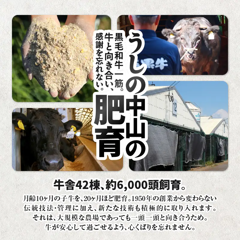 2232-1 【訳あり】うしの中山 黒毛和牛 切り落とし 800g KN050-031 肉 牛 和牛