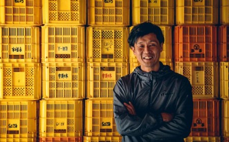 松岡農園 土佐文旦 10kg 家庭用 文旦