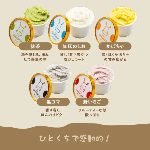【高評価★4.7以上】北海道感動カップジェラート 120g×12個 セット 北海道ミルク 知床のしお クリームチーズ 野いちご 抹茶 コーヒー チョコチップ バニラ かぼちゃ ゴマ ジェラート アイス カップアイス アイスクリーム スイーツ ふるさと納税 北海道 中標津町 中標津【1200103】