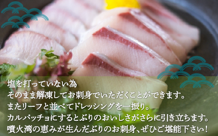 ぶり刺身 約100g x 4パック 【2026年10月より順次発送】北海道 噴火湾産  