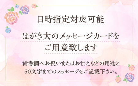 器に盛ったランとバラのアレンジ LL 花 薔薇 胡蝶蘭 花