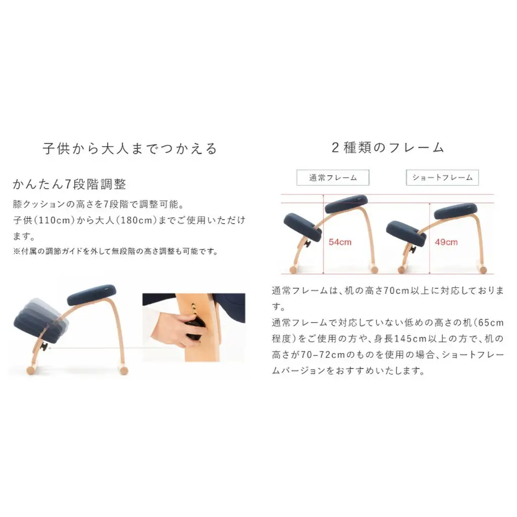 椅子 バランスイージー カバーなし 選べる カラー 椅子 通常ライトブルー