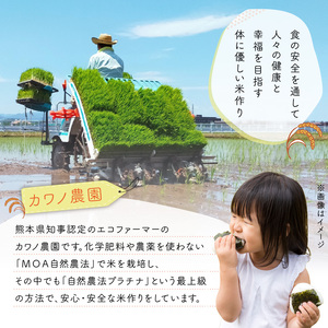 【先行予約】令和8年産 新米 カワノ農園 「森のくまさん」白米10kg _U70-0271_1