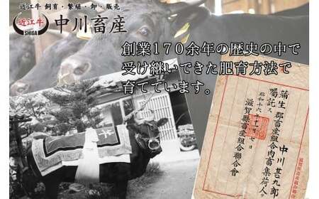 令和4年度 全国肉用牛枝肉共励会 最優秀賞受賞 中川畜産 近江牛 ヒレステーキ 2枚/計300g （株）高島屋洛西店 滋賀県 東近江市 F-E04 和牛 ヒレ肉 ステーキ 肉 牛肉 ギフト お取り寄せ 高級 近江牛 希少部位