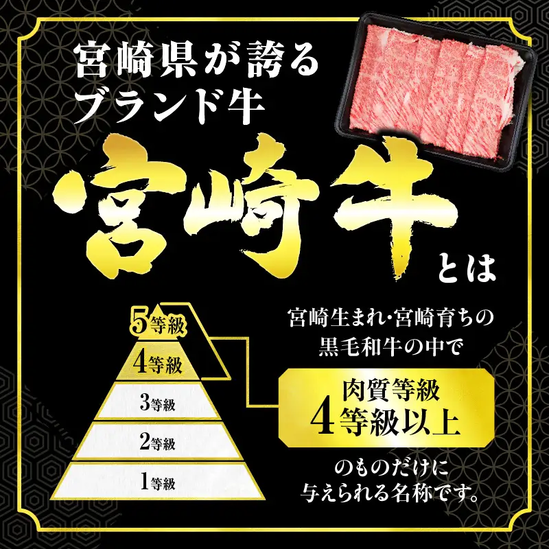 【令和8年10月配送】数量限定 超希少 宮崎牛 ヒレステーキ 計300g_DB46-26-10