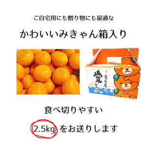 【2026年12月下旬頃から順次発送】はれひめ 約2.5kg みきゃん箱入 愛媛県産 柑橘 みかん 贈答 可愛い 愛媛県 松山市【SSK009】
