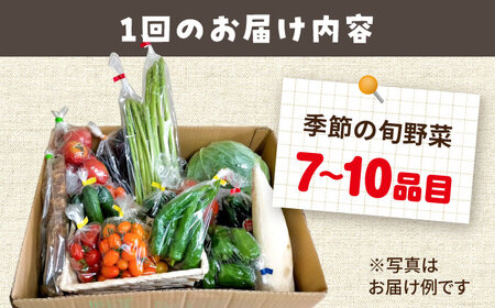 【全3回定期便】 農家自慢 季節の野菜セット（7～10品目） / 詰め合わせ 野菜 やさい 野菜セット 野菜詰め合わせ 旬 春野菜 夏野菜 秋野菜 野菜定期便 / 大村市 / 産直松吉[ACZC004]