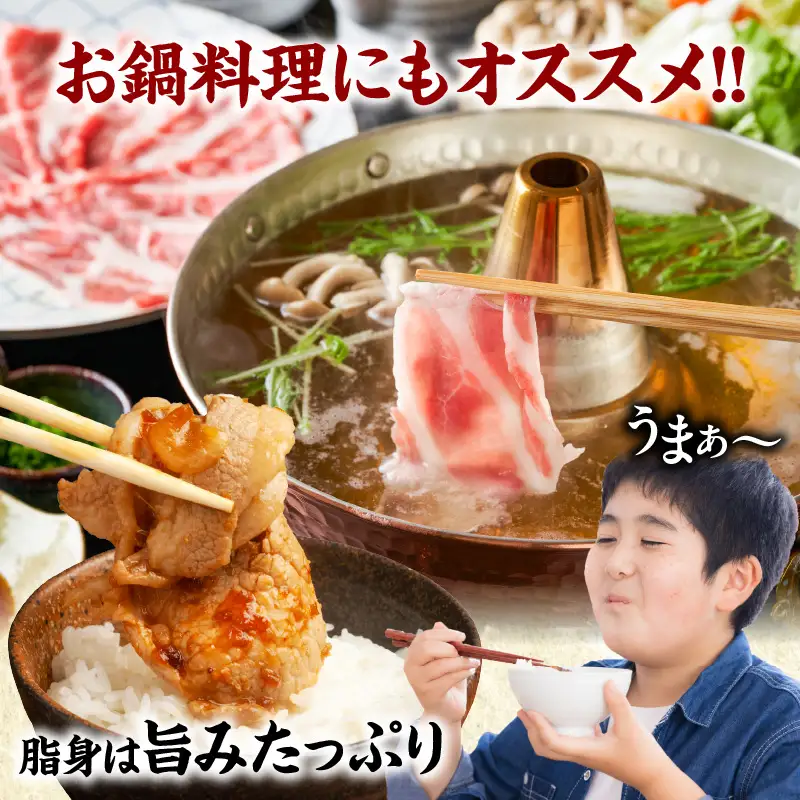 ≪訳あり≫宮崎県産豚ローススライス計1kg≪ロース・肩ロースどちらかのお届け≫ 肉 豚 豚肉 おかず 国産_T009-0105