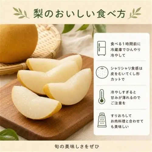 紀州和歌山産の梨　約2kg　化粧箱入【配送不可地域：離島・北海道・沖縄県】【1469887】