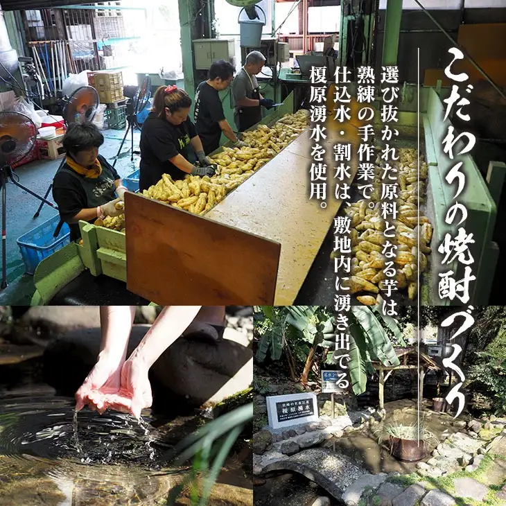 本格焼酎 飫肥杉 原酒 孤独な天使 飲み比べ セット 合計2本_DC37-26