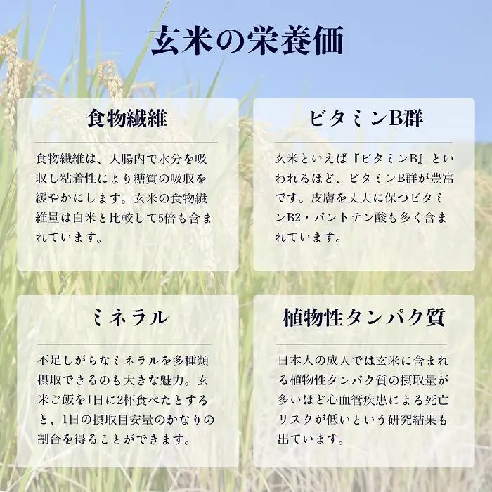 【令和7年産・玄米・真空パック・低農薬栽培】 あさひかわ産 ななつぼし玄米 3kg×8袋 脱酸素剤入 | ななつぼし _03127
