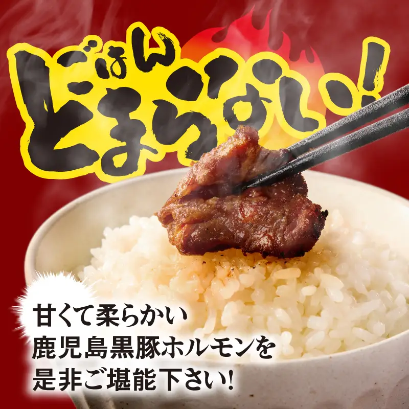 2290 鹿児島 黒豚 みそ ホルモン ミックス 2kg（ 200g × 10パック ） KN054-010 肉 豚肉 冷凍