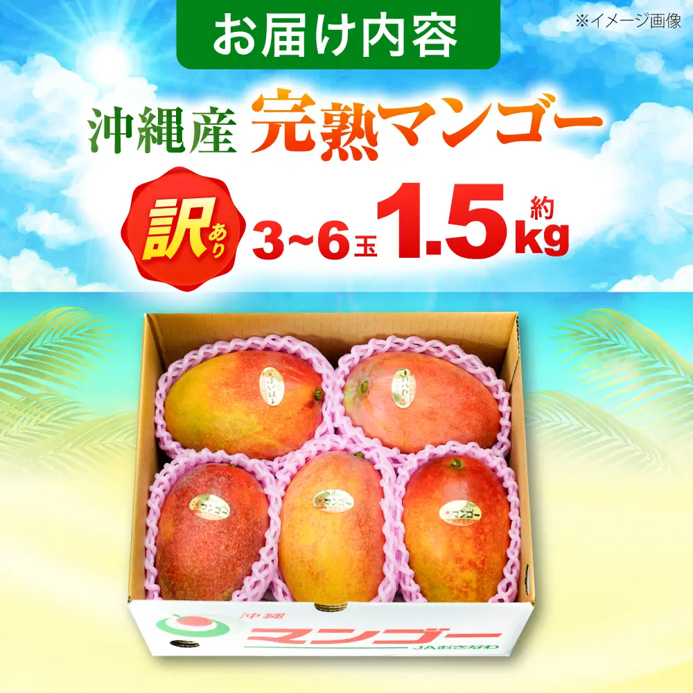 マンゴー 【2027年発送】 訳あり 完熟マンゴー 約1.5kg (3-6玉) BCAA001