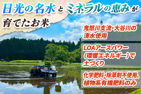 [先行予約][定期便／3回] こしひかり 合計9kg (3kg×3回) [日光ダイヤ舞／白米] 令和7年10月中旬より順次発送｜2025年度米 新米 有機栽培 オーガニック JAS有機転換中 コシヒカリ お米 ごはん 国産 産地直送 [0558]