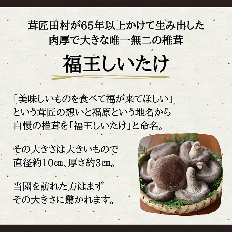 【先行販売/2026年10月末以降発送】福王しいたけ 大サイズ 約1kg IA-003
