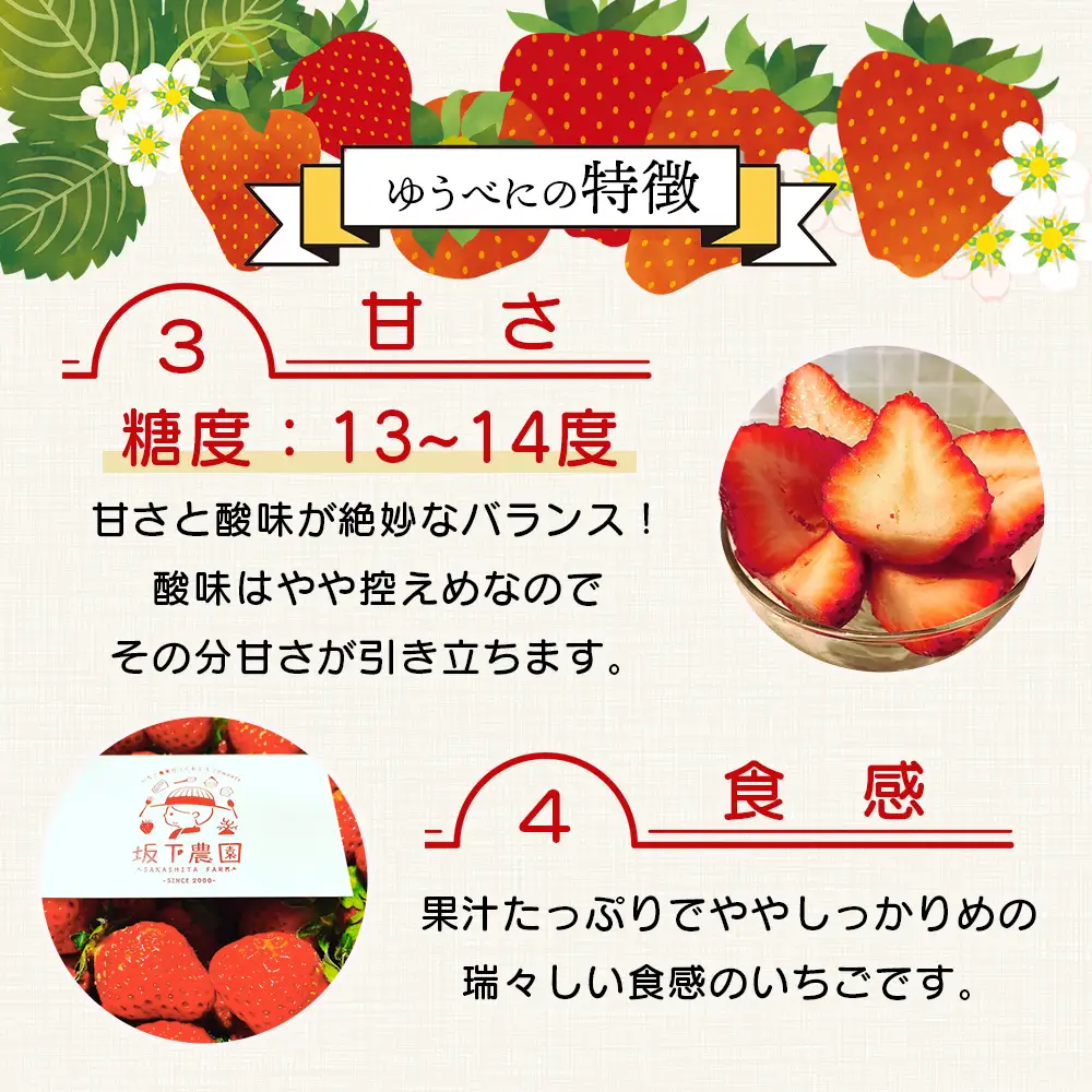 【2026年11月中旬?順次発送】熊本県産 ゆうべに 約260g×2パック 4月終了 103-0001