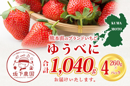 【2026年11月中旬〜順次発送】熊本県産 ゆうべに 約260g×4パック 4月終了 103-0002