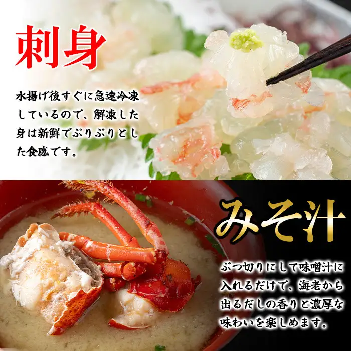 【活き〆冷凍】伊勢海老 刺身 (約450g) 鹿児島 国産 えび エビ 伊勢海老 さしみ 【網元】B47004