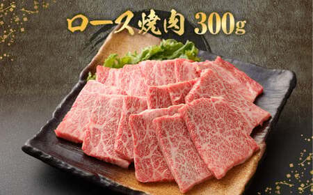 CS-309 北さつま髙崎牛 焼肉食べ比べセット(2種盛り合計600g) ロース 赤身